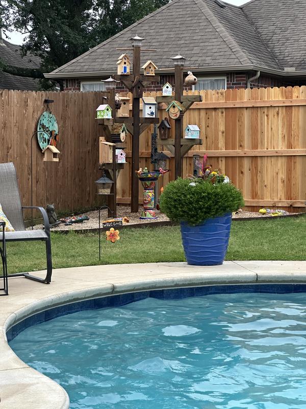 My wifes custom bird sanctuary