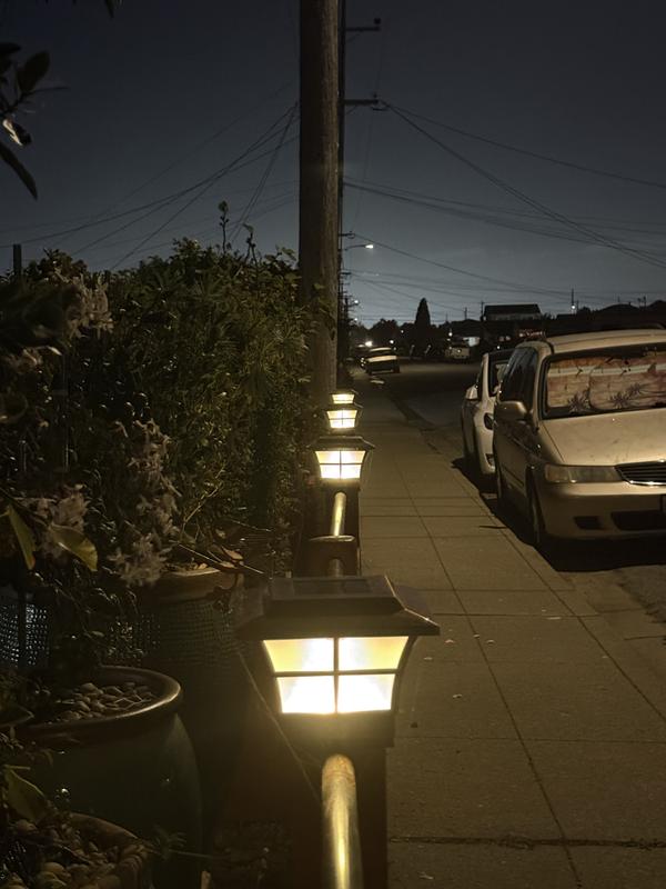 Newly Painted Fence with Solar Caps