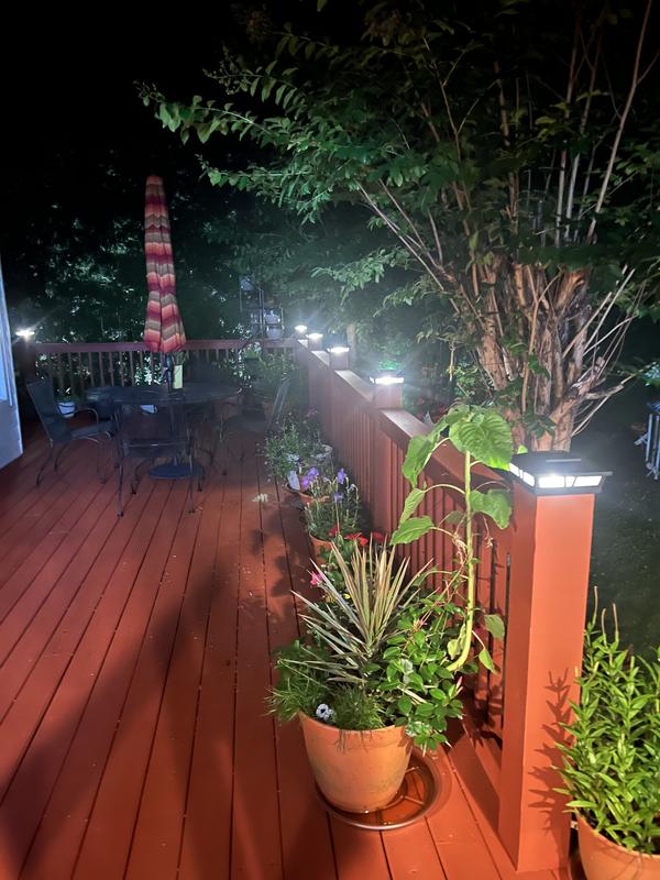 Lights on the “warm” setting.