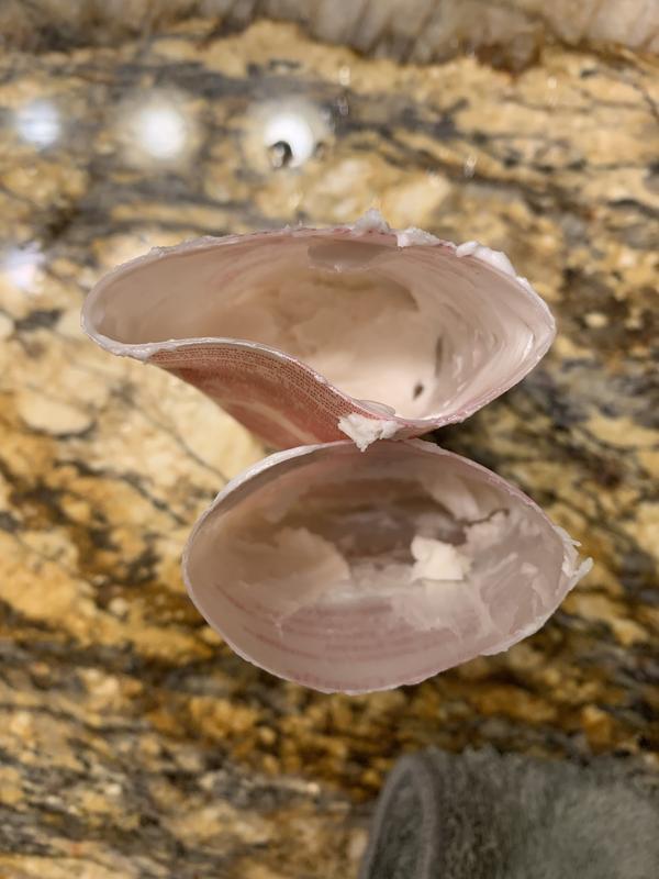 Product stuck in tube that won’t get out by merely squeezing!