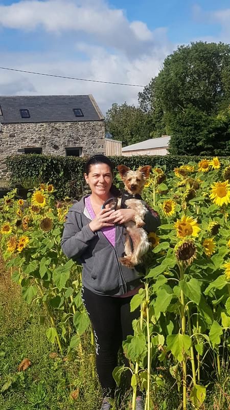 Sunflower love