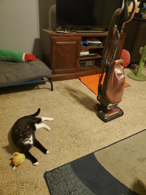 Photo - commentaire&nbsp;8.