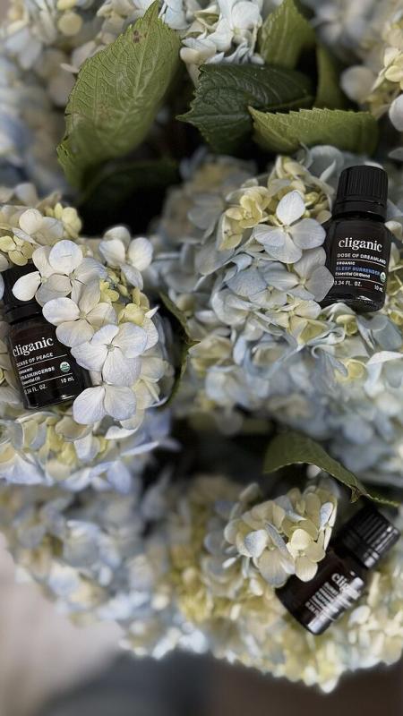 Photo from External reviewer