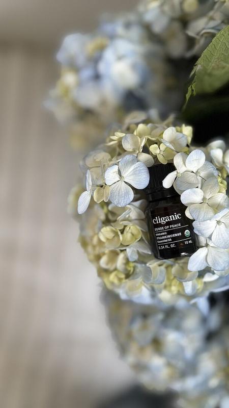 Photo from External reviewer