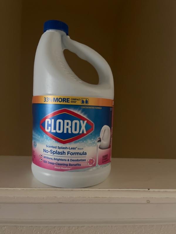 Clorox 40-oz Fresh Scent Dish Soap | BBP23576