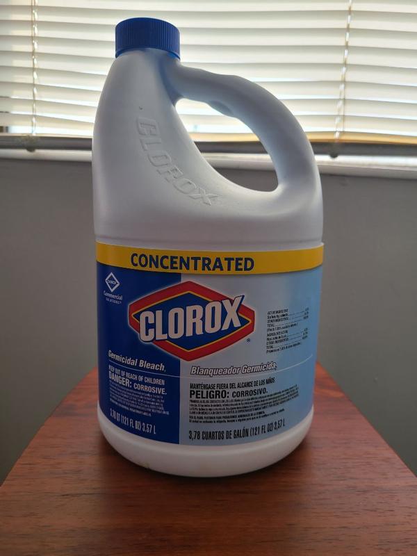 Clorox 32263 Concentrate Disinfecting Bleach 81 Ounce (Case of 6)
