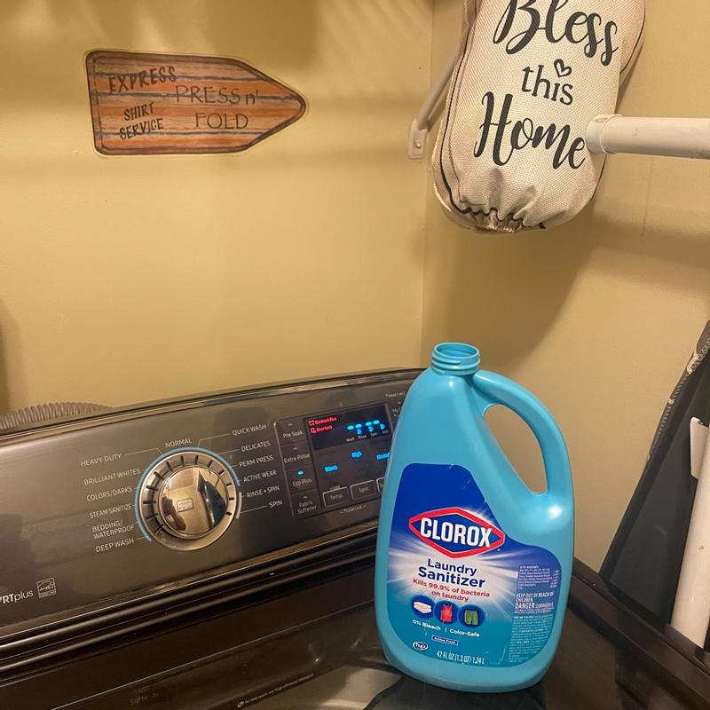 Clorox Steam Sanitizer