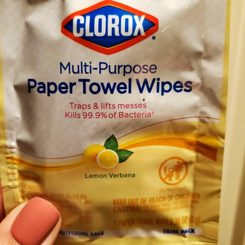 Clorox Disinfecting Wipes On The Go, Bleach Free Fresh Scent