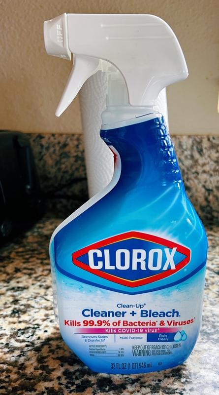 Clorox Clean-Up Fresh Cleaner & Bleach Spray