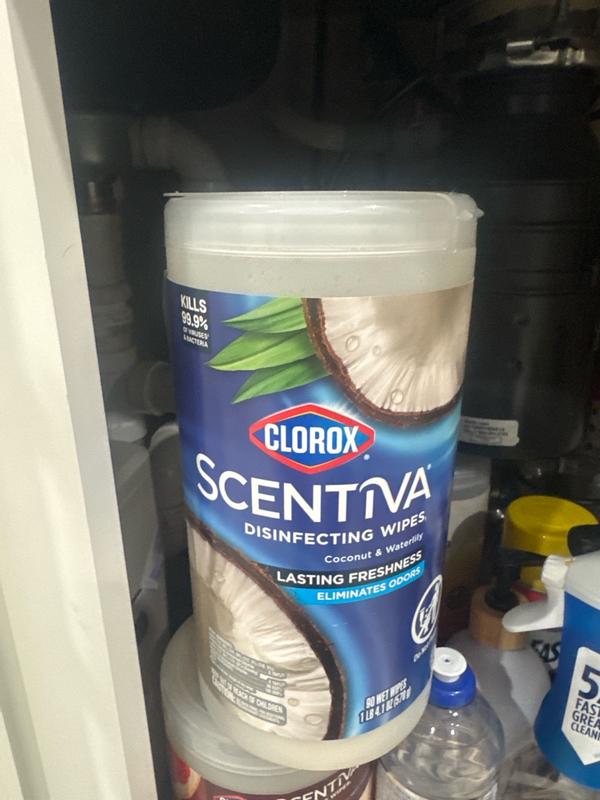 Clorox Scentiva 75-Count Coconut and Water Lily Disinfectant Wipes