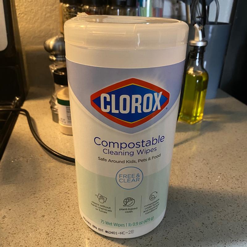 Clorox Disinfecting Wipes On The Go, Bleach Free Fresh Scent
