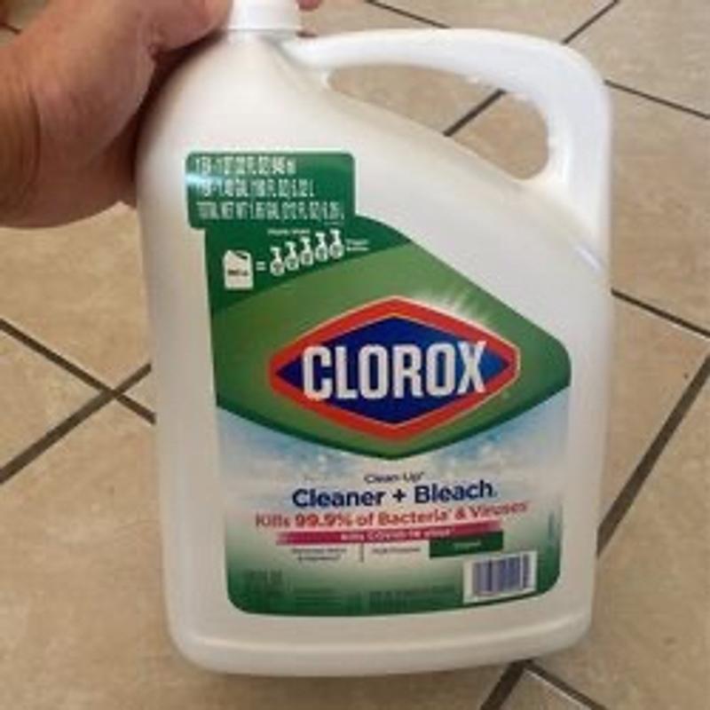 Clorox Clean Up All Purpose Cleaner with Bleach Spray Bottle