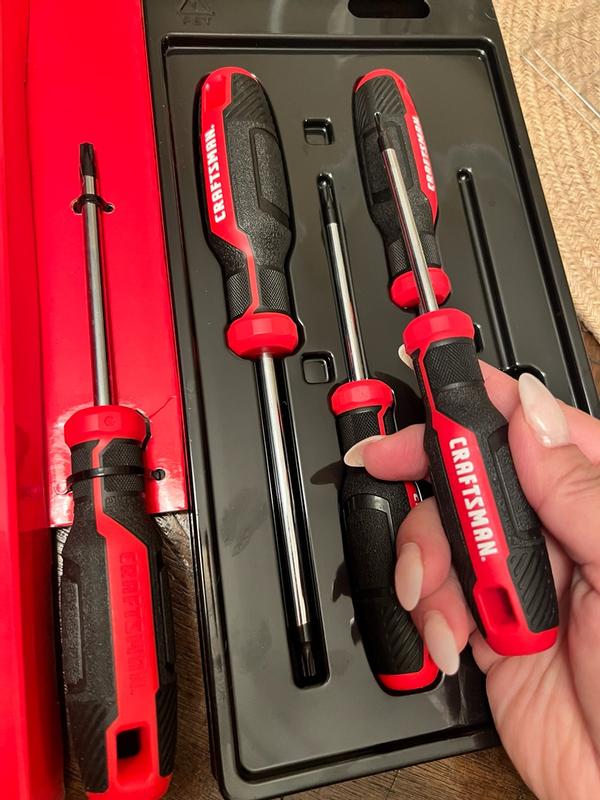 Screwdriver Set (5-Piece)