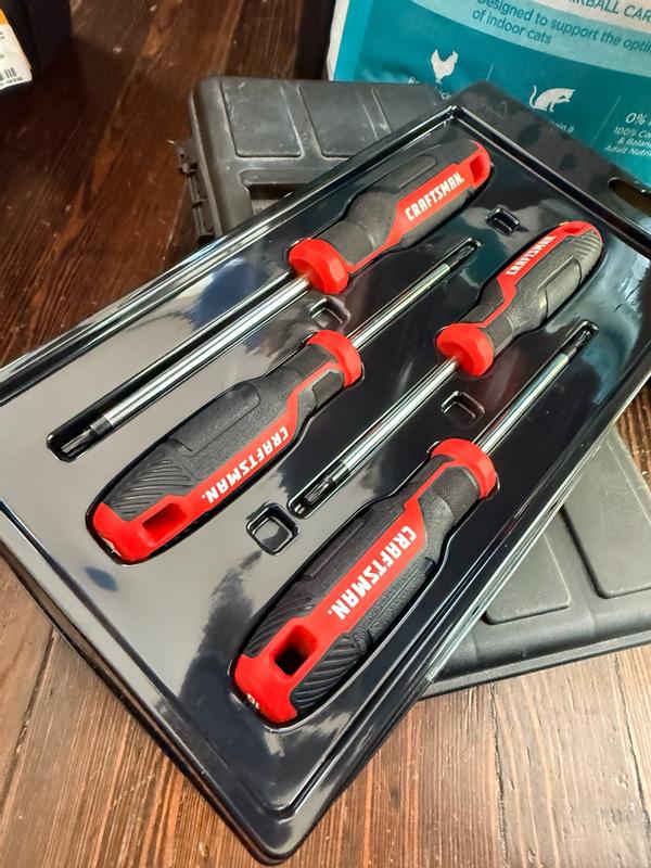 Screwdriver Set (5-Piece)