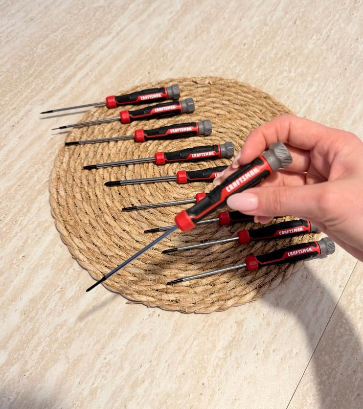 Precision Screwdriver Set (10 Pc)