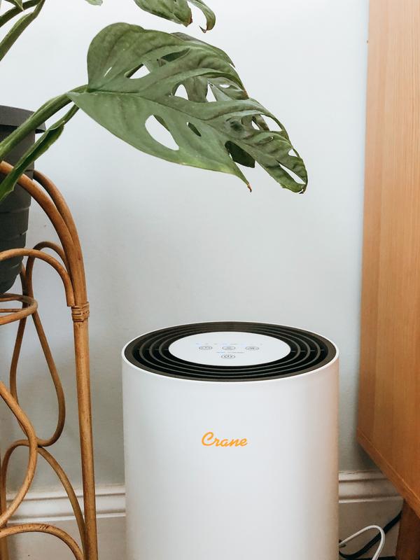 Colzer air deals purifier review