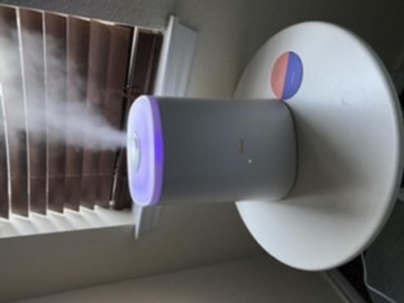 Cool Mist Top Fill Humidifier & Aroma Diffuser | Crane USA
