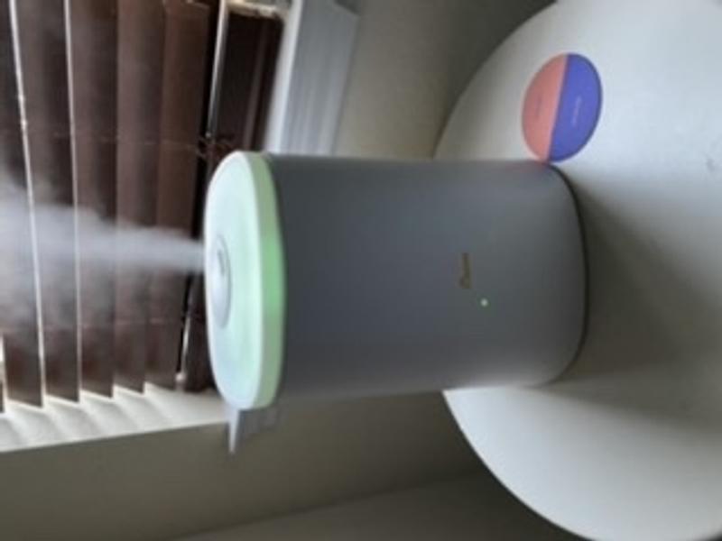 Cool Mist Top Fill Humidifier & Aroma Diffuser | Crane USA - Crane USA