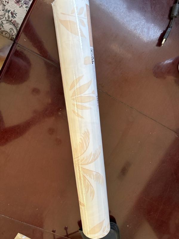 Review Thumbnail Image 0 328802577