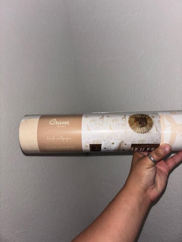 Customer photo for "Size"