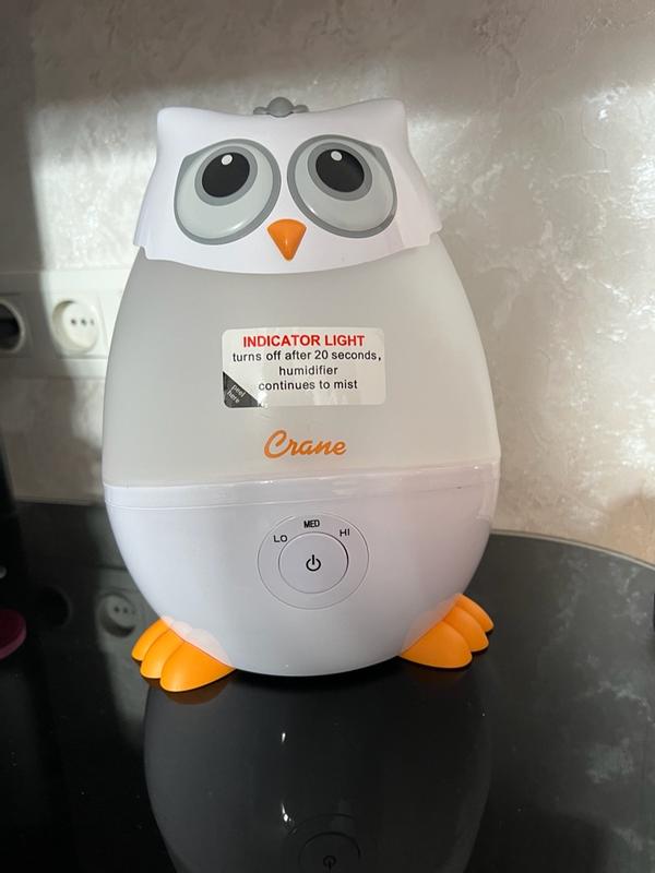 Review Thumbnail Image 0 376966716