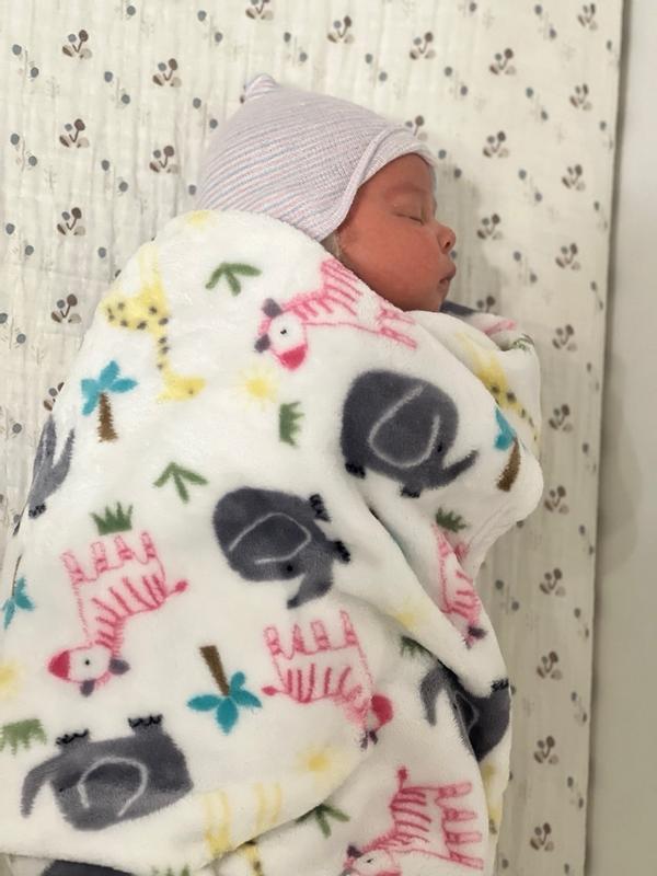 Beep Beep - Baby Crib Sheet