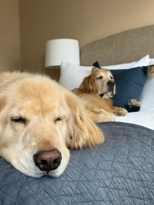 Review Thumbnail Image 0 367499117