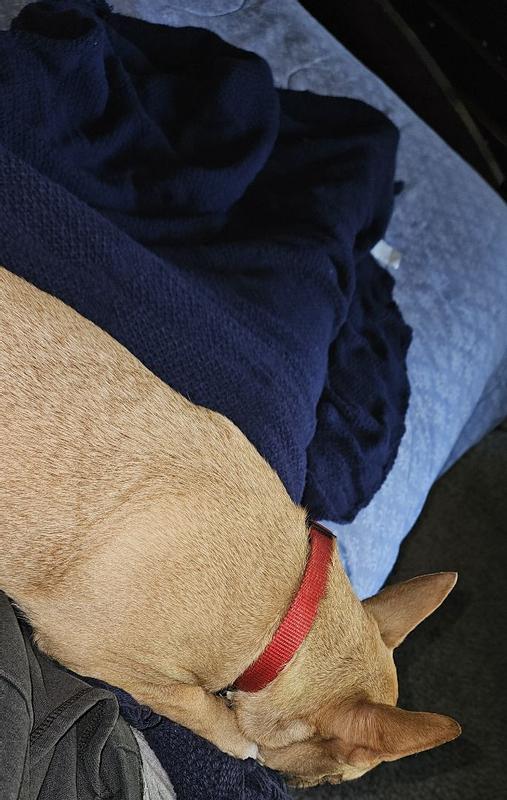 Review Thumbnail Image 1 362212457