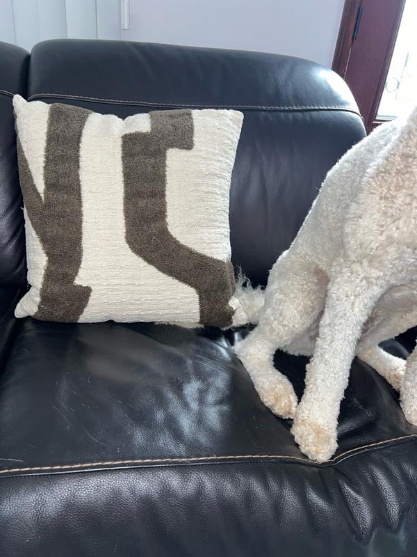 Review Thumbnail Image 0 360162238