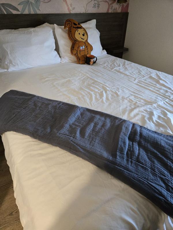 Review Thumbnail Image 1 365244130