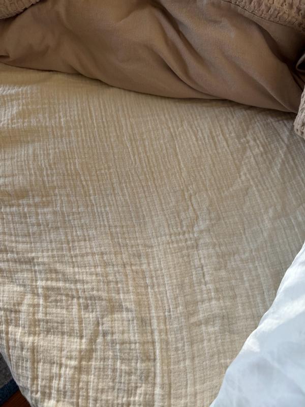 Review Thumbnail Image 1 361537181