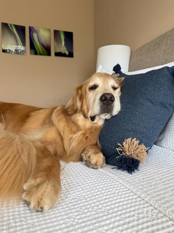 Review Thumbnail Image 1 367499117