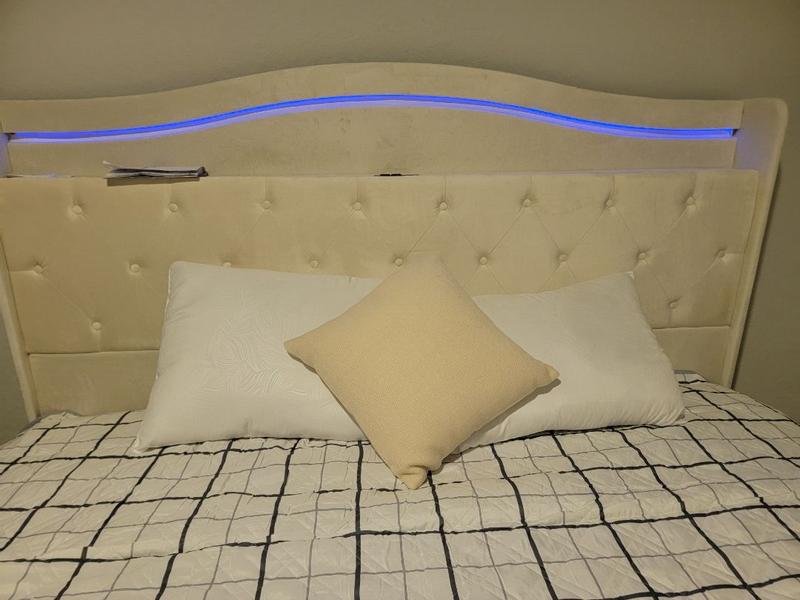 Review Thumbnail Image 0 361704561