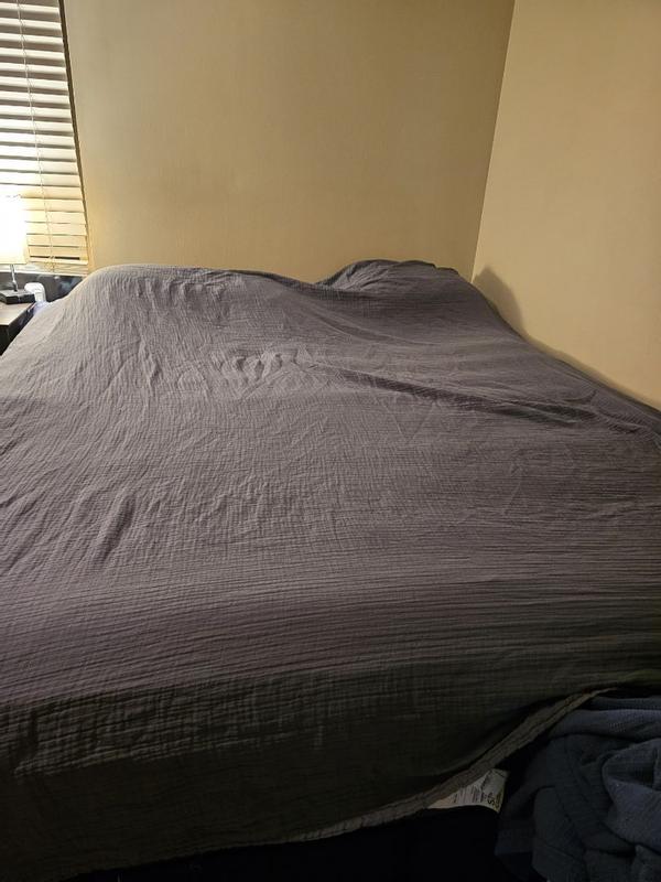 Review Thumbnail Image 0 361879821