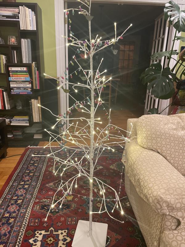 LED 7 ' Birch Tree + Reviews | Crate & Barrel