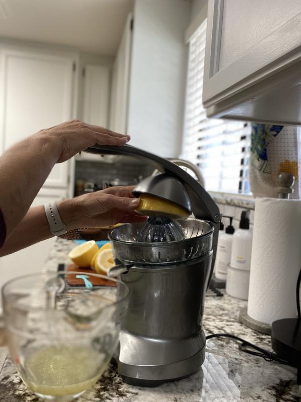 Breville Stainless Steel Electric Citrus Juicer Press Reviews