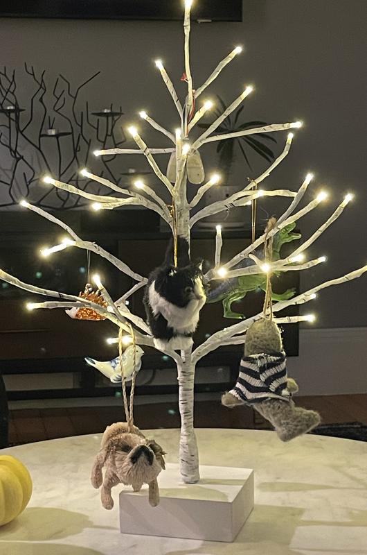 クレートアンドバレル　ツリー LED 7 ' Birch Tree + Reviews | Crate & Barrel