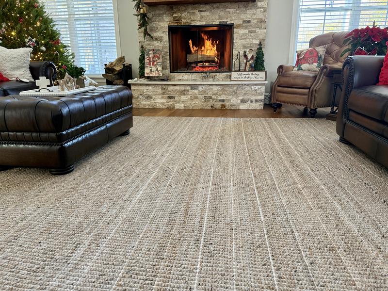 Andalucia Pet-Friendly Performance Handwoven Taupe Beige Area Rug