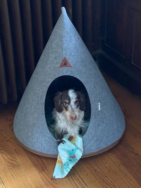 Nooee clearance pet tent