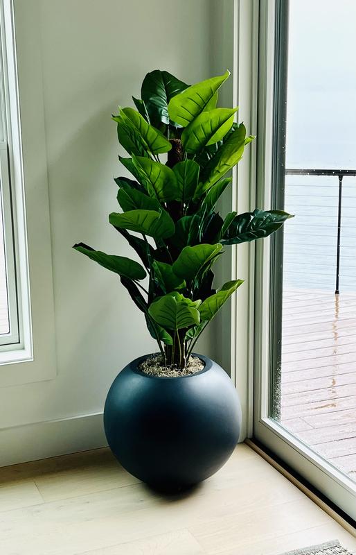 52" Faux Large Leaf Philodendron Plant + Reviews | Crate & Barrel