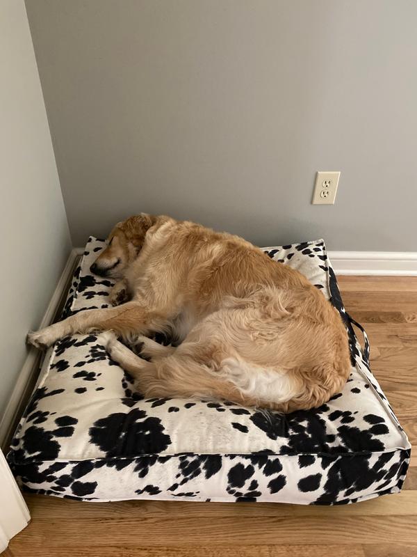 Cb2 dog bed sale