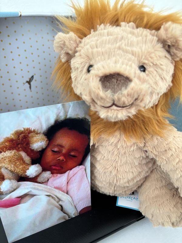 Jellycat Fuddlewuddle Lion Kids Stuffed Animal + Reviews