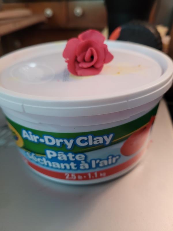 Crayola air dry clay. Jazz gloss tempera paint.