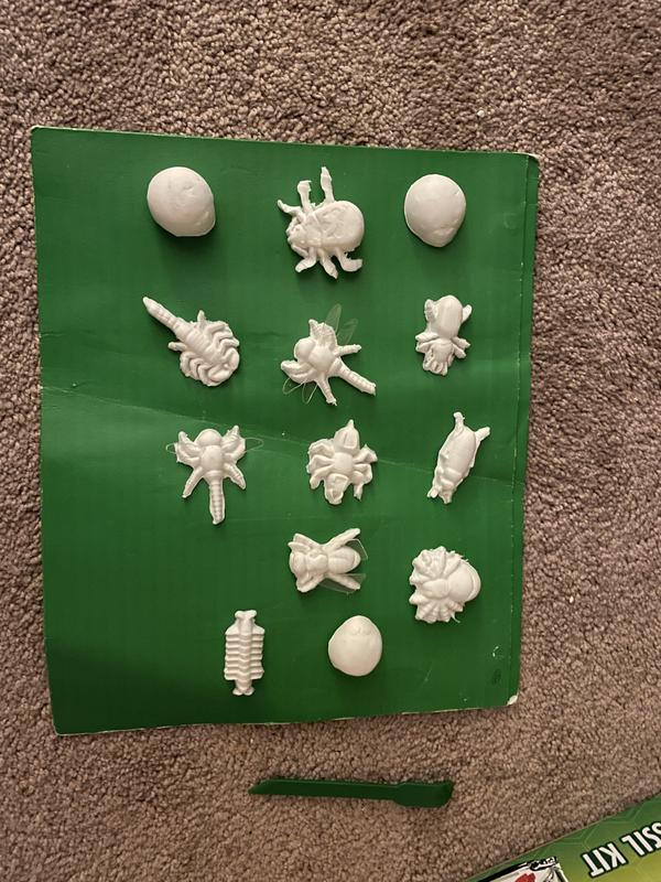 Critter Creator Metallic Bug Fossil Kit, Crayola.com