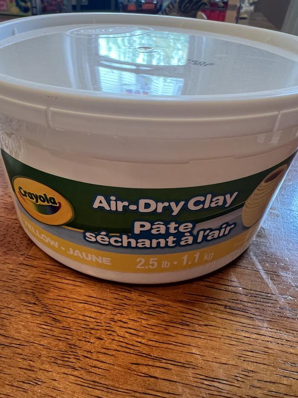 Crayola Air Dry Clay (5lb Bucket), Natural White  