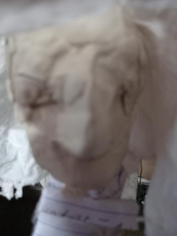 Photo from TRACEBURGER
