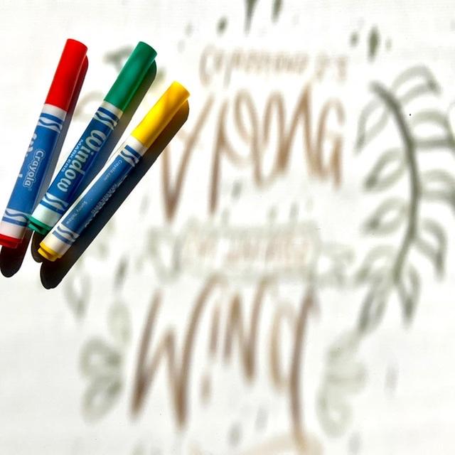 Washable Window Crayons, Assorted Colors, 5/Set - Zerbee