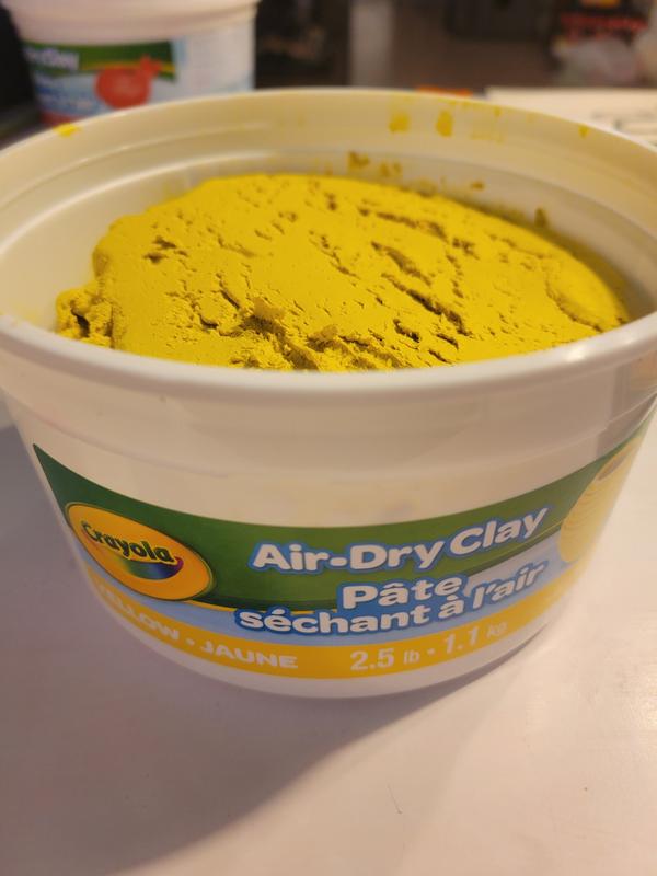 Crayola Air Dry Clay, Blue, 2.5 lb. Resealable Bucket, Modeling Clay  Alternative for Kids