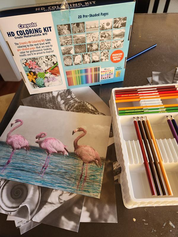  Crayola HD Coloring Kit, 30 Colored Pencils & 20