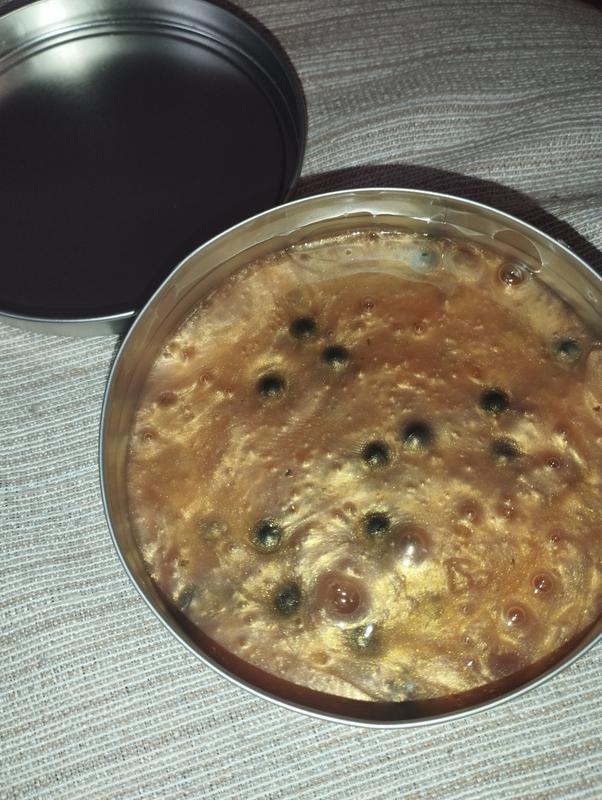 Review Thumbnail Image 0 381334440